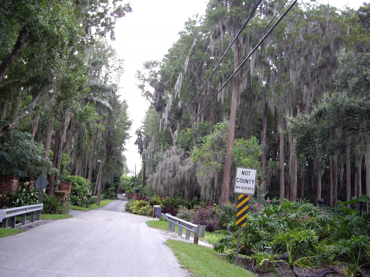 Avenue quartier Floride Brunoricaine